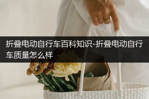 折叠电动自行车百科知识-折叠电动自行车质量怎么样