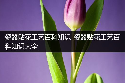 瓷器贴花工艺百科知识_瓷器贴花工艺百科知识大全