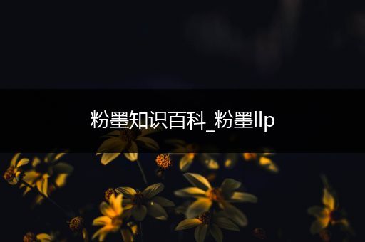 粉墨知识百科_粉墨llp