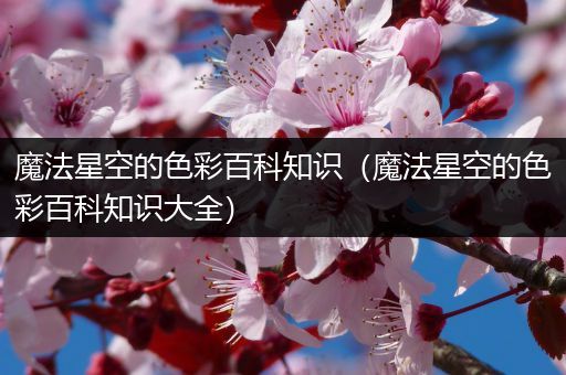 魔法星空的色彩百科知识（魔法星空的色彩百科知识大全）