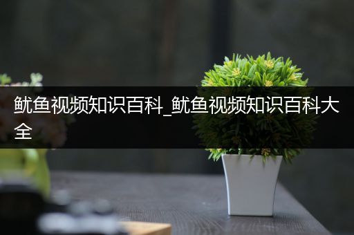 鱿鱼视频知识百科_鱿鱼视频知识百科大全