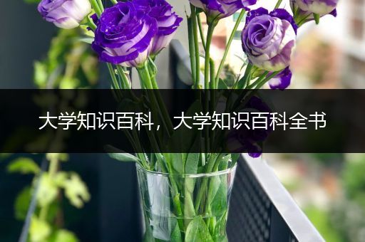 大学知识百科，大学知识百科全书