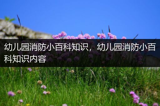 幼儿园消防小百科知识，幼儿园消防小百科知识内容