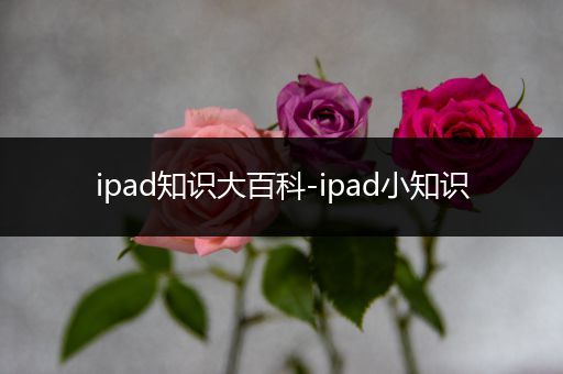 ipad知识大百科-ipad小知识