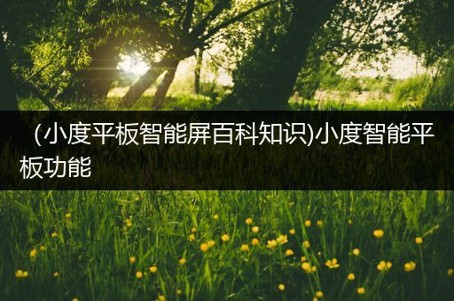 （小度平板智能屏百科知识)小度智能平板功能