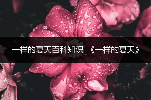 一样的夏天百科知识_《一样的夏天》