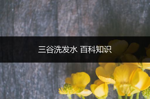 三谷洗发水 百科知识