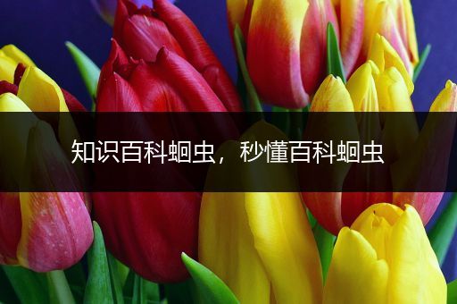 知识百科蛔虫，秒懂百科蛔虫