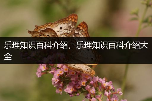 乐理知识百科介绍，乐理知识百科介绍大全