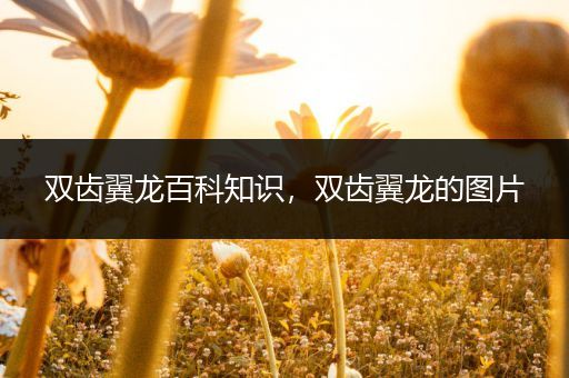 双齿翼龙百科知识，双齿翼龙的图片