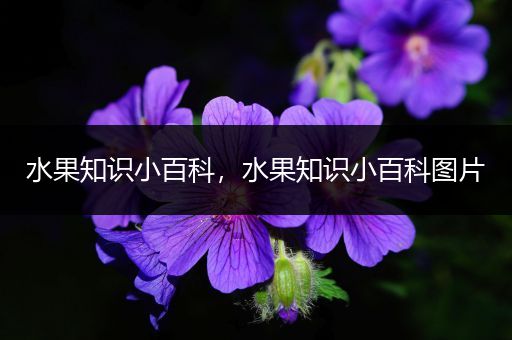 水果知识小百科，水果知识小百科图片