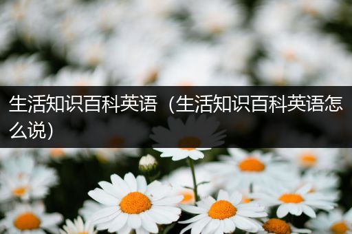 生活知识百科英语（生活知识百科英语怎么说）