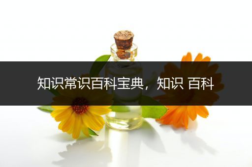 知识常识百科宝典，知识 百科