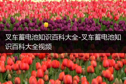 叉车蓄电池知识百科大全-叉车蓄电池知识百科大全视频