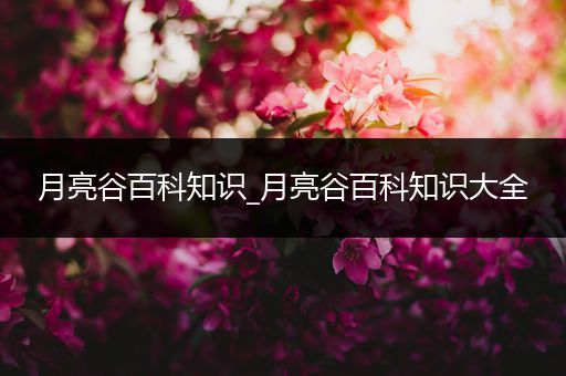 月亮谷百科知识_月亮谷百科知识大全