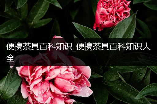 便携茶具百科知识_便携茶具百科知识大全