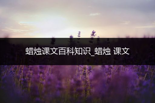 蜡烛课文百科知识_蜡烛 课文