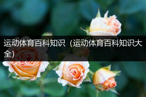 运动体育百科知识（运动体育百科知识大全）