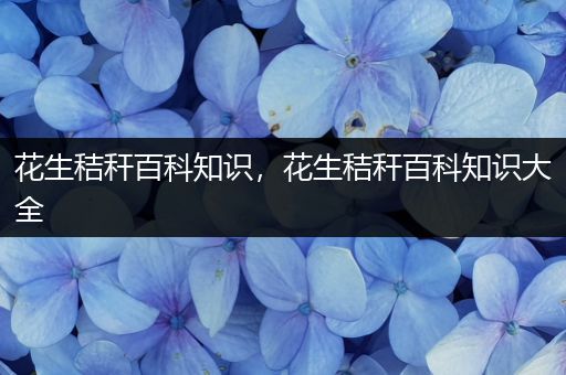 花生秸秆百科知识，花生秸秆百科知识大全