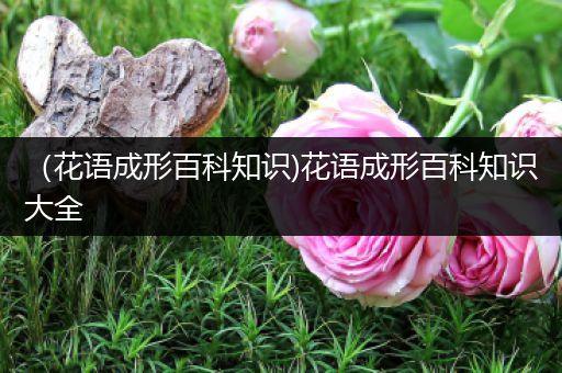（花语成形百科知识)花语成形百科知识大全