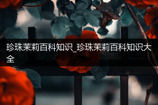 珍珠茉莉百科知识_珍珠茉莉百科知识大全