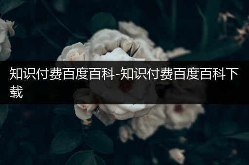 知识付费百度百科-知识付费百度百科下载