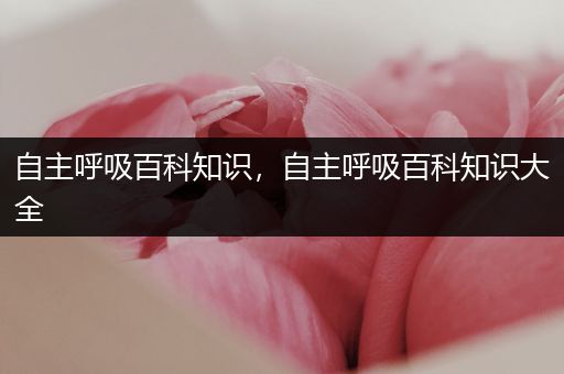 自主呼吸百科知识，自主呼吸百科知识大全