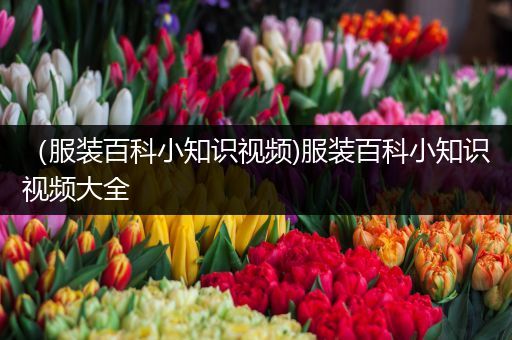 （服装百科小知识视频)服装百科小知识视频大全