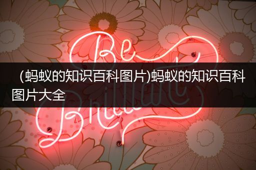 （蚂蚁的知识百科图片)蚂蚁的知识百科图片大全