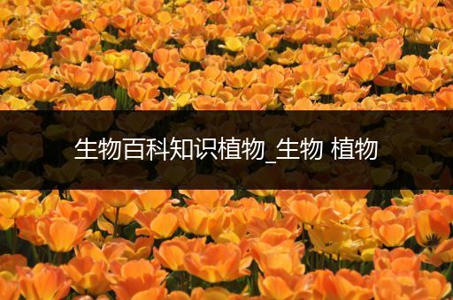 生物百科知识植物_生物 植物