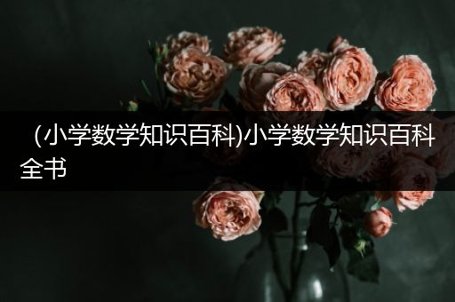 （小学数学知识百科)小学数学知识百科全书
