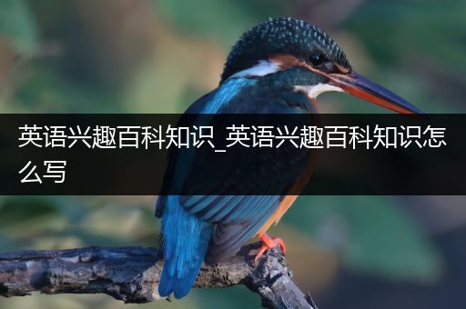 英语兴趣百科知识_英语兴趣百科知识怎么写