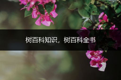 树百科知识，树百科全书