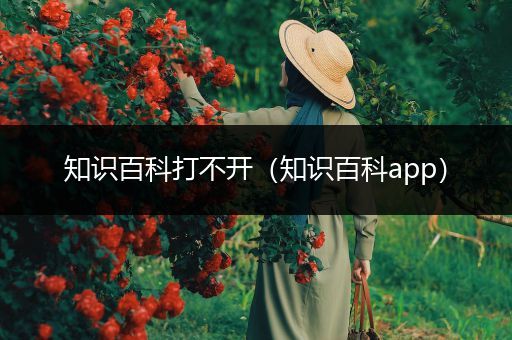 知识百科打不开（知识百科app）