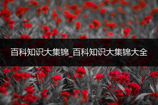 百科知识大集锦_百科知识大集锦大全