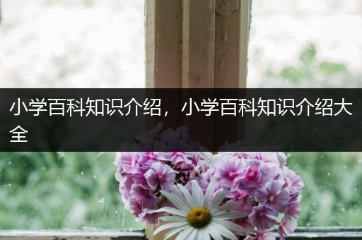 小学百科知识介绍，小学百科知识介绍大全