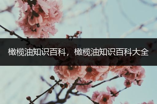 橄榄油知识百科，橄榄油知识百科大全