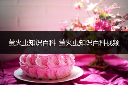 萤火虫知识百科-萤火虫知识百科视频