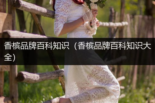 香槟品牌百科知识（香槟品牌百科知识大全）