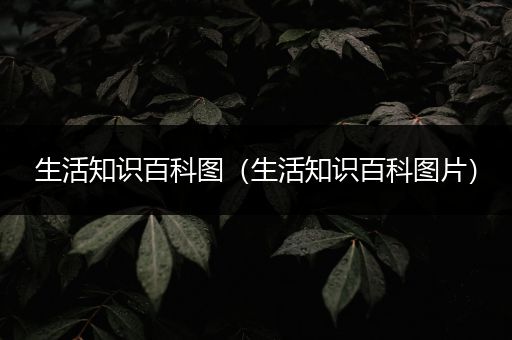 生活知识百科图（生活知识百科图片）