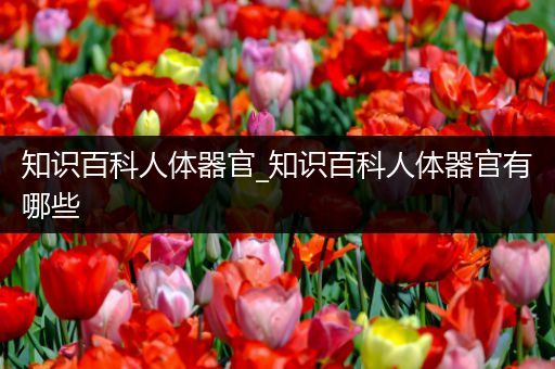 知识百科人体器官_知识百科人体器官有哪些
