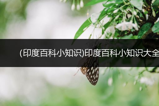 （印度百科小知识)印度百科小知识大全