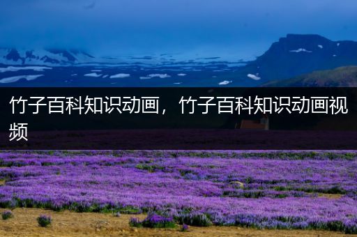 竹子百科知识动画，竹子百科知识动画视频