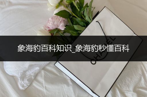 象海豹百科知识_象海豹秒懂百科