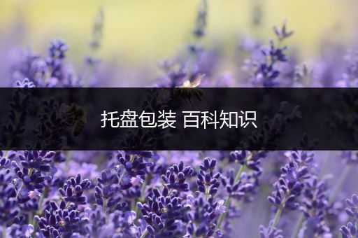 托盘包装 百科知识
