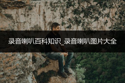 录音喇叭百科知识_录音喇叭图片大全