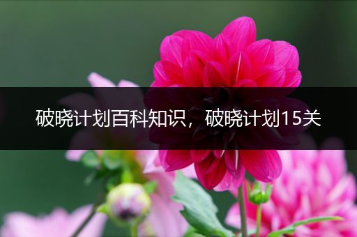 破晓计划百科知识，破晓计划15关