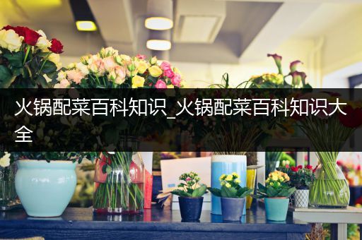 火锅配菜百科知识_火锅配菜百科知识大全