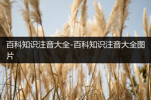 百科知识注音大全-百科知识注音大全图片