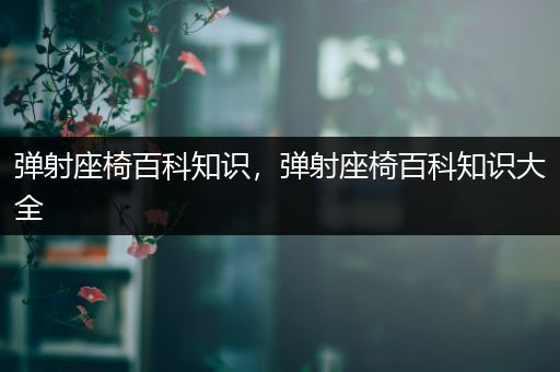 弹射座椅百科知识，弹射座椅百科知识大全